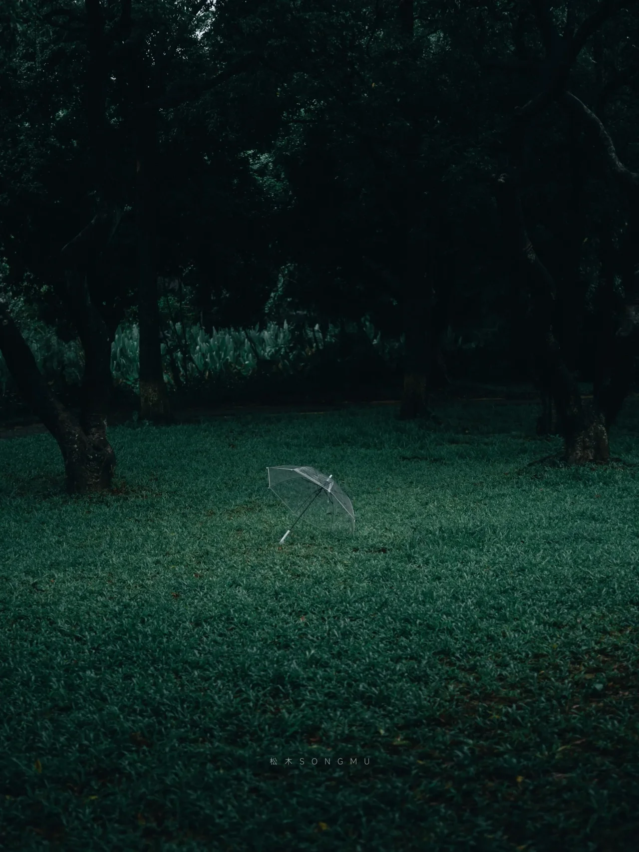雨中草地