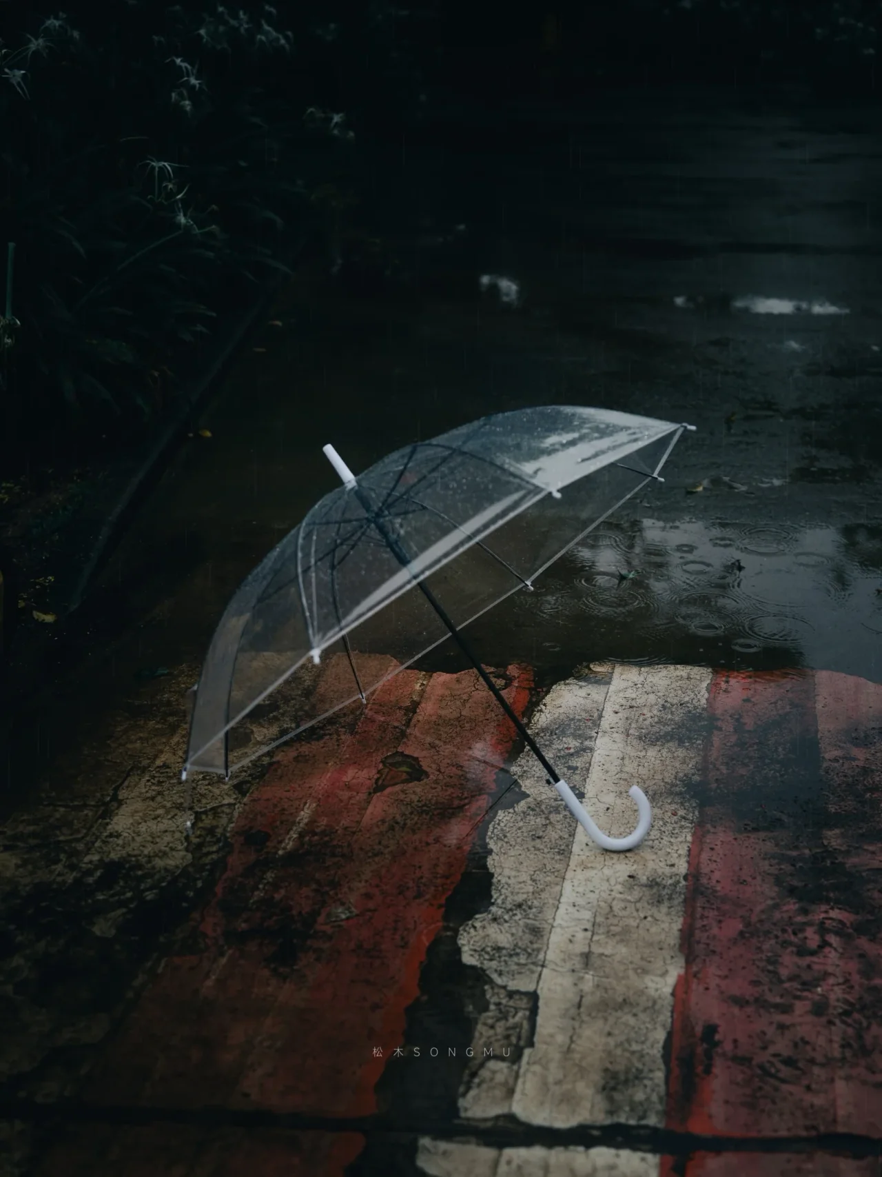 雨伞与小径