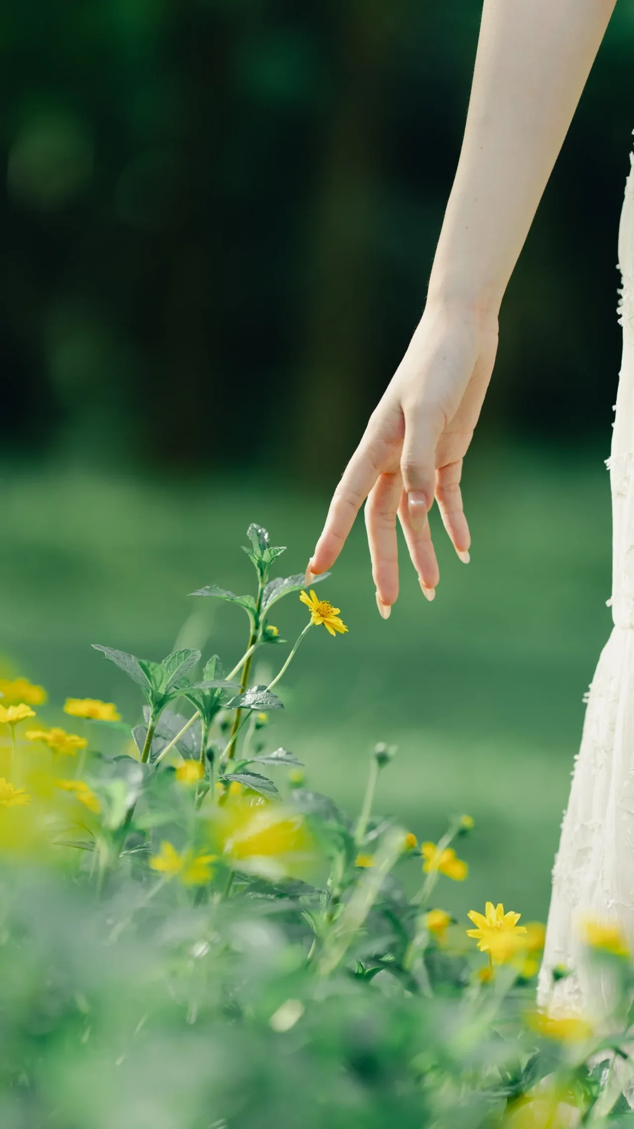 花间