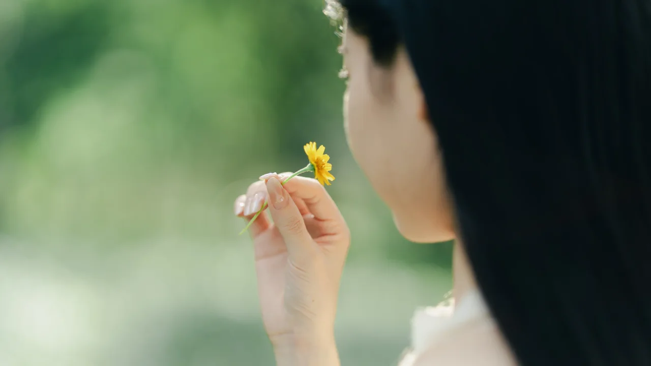 花香侧影