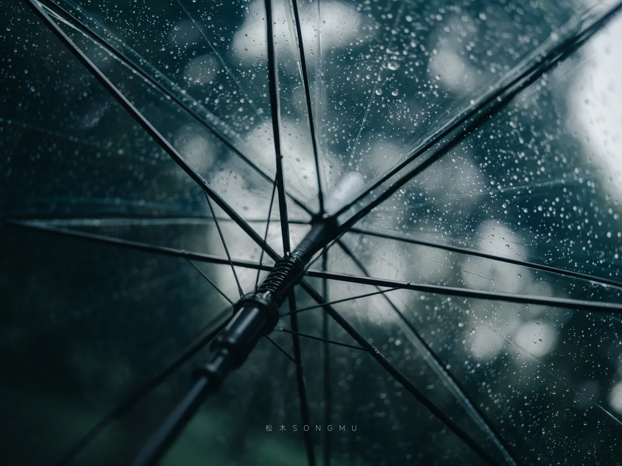 雨幕伞骨