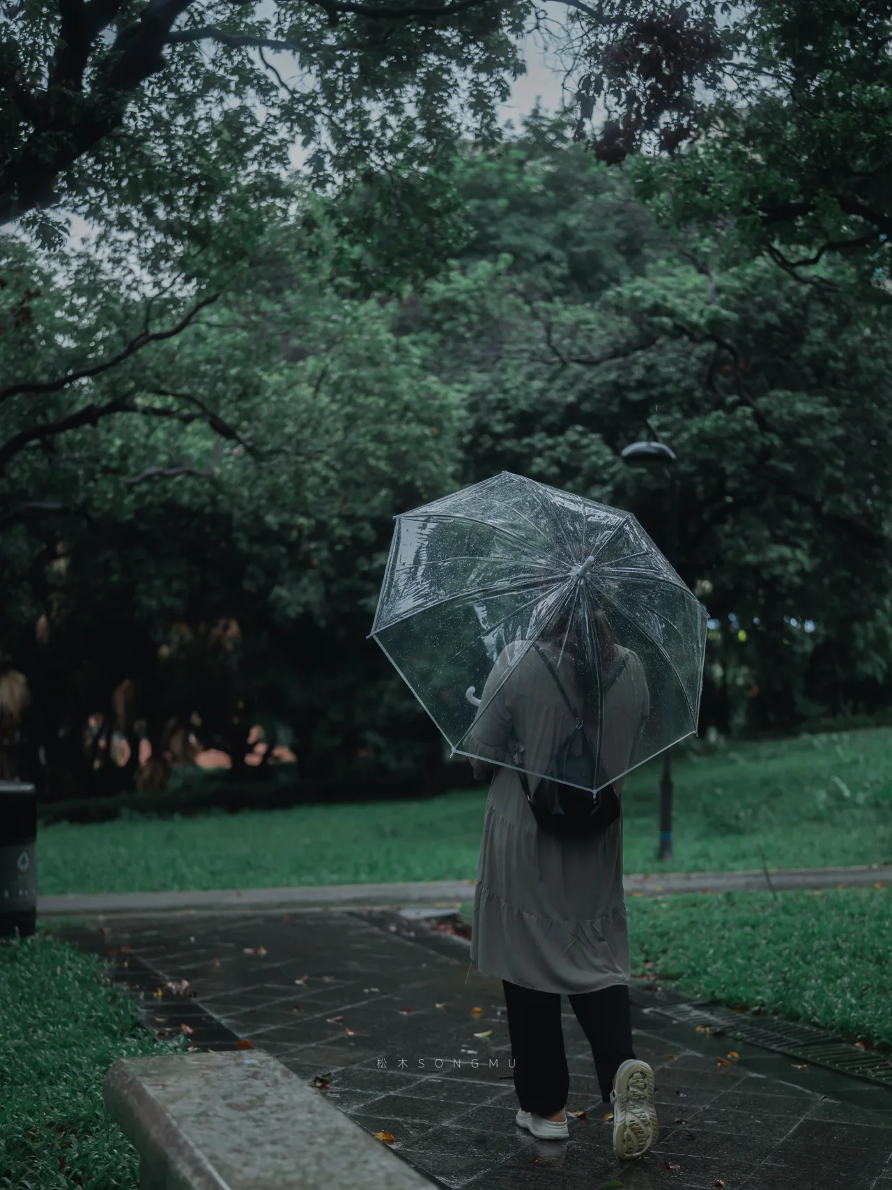 雨后小径