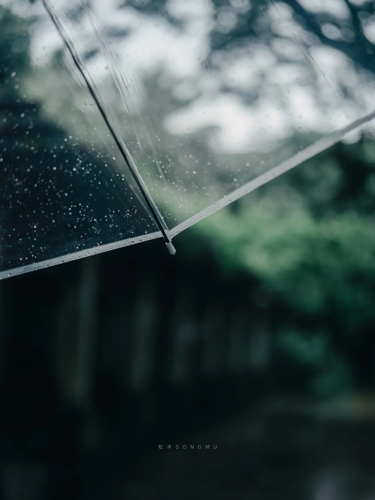 伞面雨珠